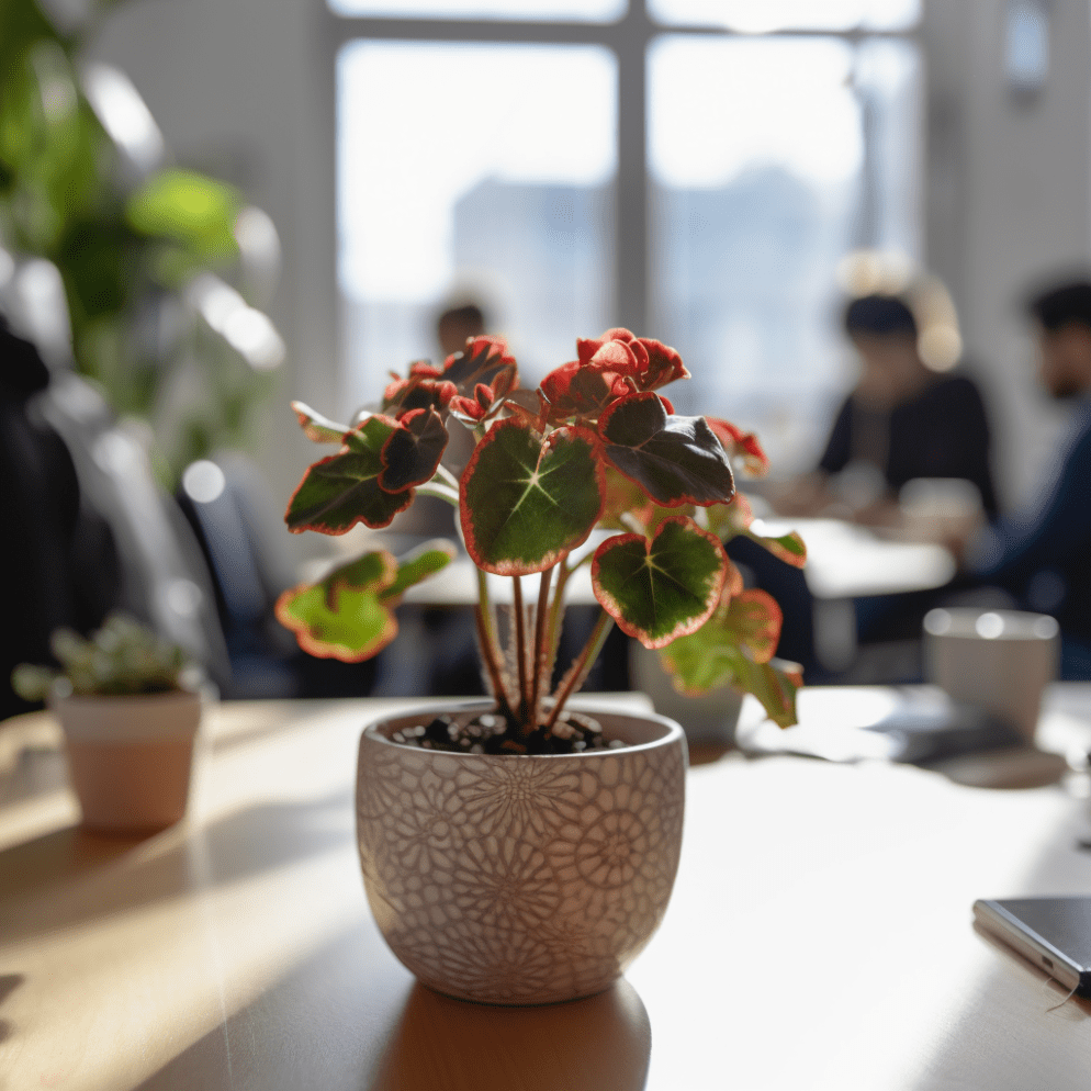 Fotografía en gran angular con DSLR de una pequeña planta de escritorio junto a una ventana soleada en un moderno espacio de coworking por la mañana, capturando alegres emprendedores discutiendo ideas en el fondo.